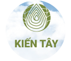 KIẾN TÂY