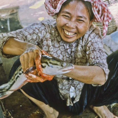 MIỀN NAM XIN CHÀO!